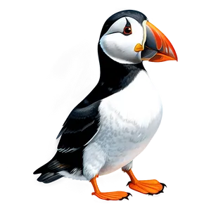 Puffin Illustration Png Xsm71 PNG Image