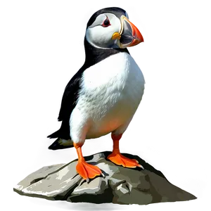 Puffin On Rock Png 6 PNG Image