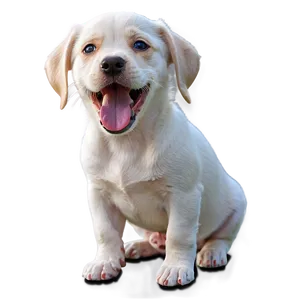 Puppy Dog Barking Png Iul PNG Image