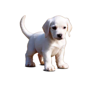 Puppy Dog Transparent Png 50 PNG Image