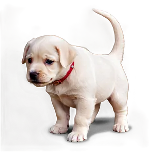 Puppy Dog Transparent Png Buh87 PNG Image