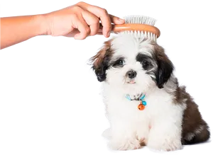 Puppy Grooming Session PNG Image