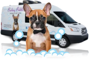 Puppy Mobile Pet Spa PNG Image