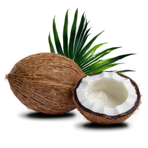 Pure Coconut Oil Png Vwd46 PNG Image