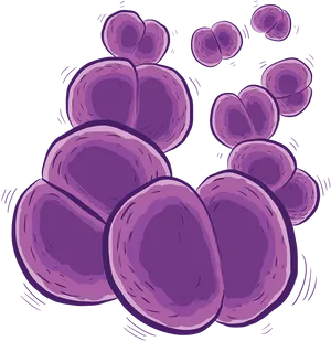 Purple Bacteria Cluster Illustration PNG Image