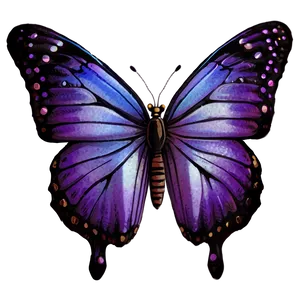 Purple Butterfly PNG 33 PNG