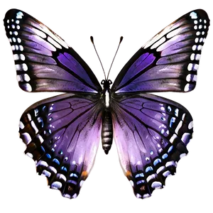 Purple Butterfly Png Afv76 PNG Image