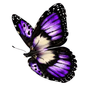 Purple Butterfly PNG Sfa PNG