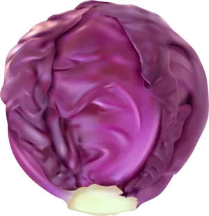 Purple Cabbage Top View PNG Image