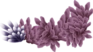 Purple Coral Illustration PNG Image