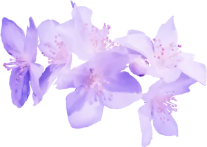 Purple Floral Artwork PNG Image