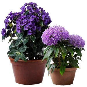 Purple Flower Bush Png Nws PNG Image