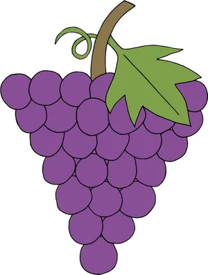 Purple Grape Cluster Illustration PNG Image