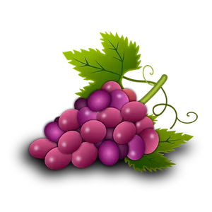 Purple Grapes Cluster Illustration PNG Image