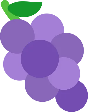 Purple Grapes Vector Illustration PNG Image