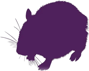 Purple Hamster Silhouette PNG Image