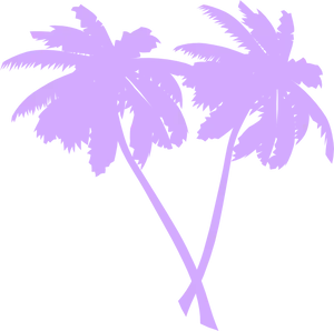 Purple Palm Silhouetteson Black PNG Image