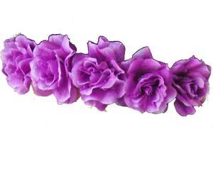 Purple Roses Row PNG Image