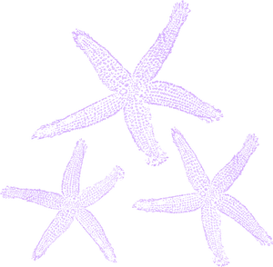 Purple_ Starfish_ Clipart_ Vector PNG Image