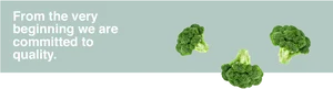 Quality Broccoli Commitment Banner PNG Image