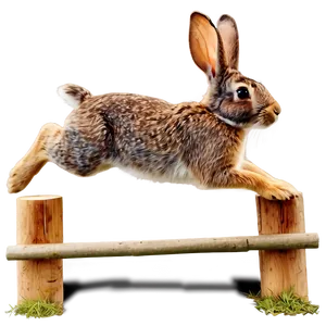 Rabbit Jumping Clipart Png Omc PNG Image