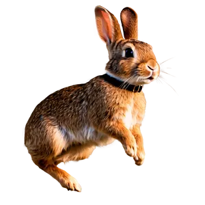 Rabbit Jumping Clipart Png Qxy2 PNG Image