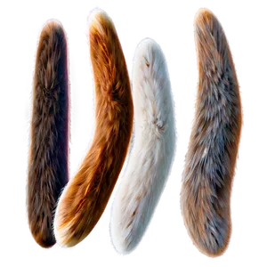 Rabbit Tail Png 92 PNG Image