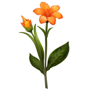 Radiant Orange Flora Png All PNG Image