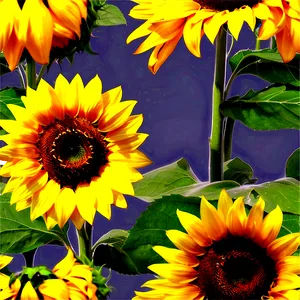 Radiant Sunflower Png Moc60 PNG Image