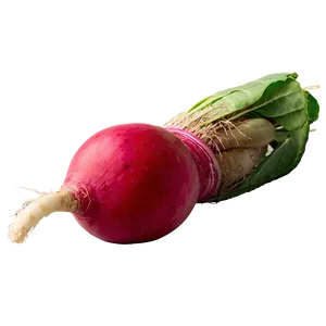 Radish Root Png Pfu91 PNG Image