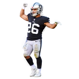 Raiders Victory Celebration Png Jpq99 PNG Image