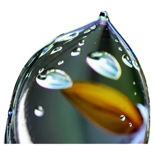 Raindrop Macro Shot Png 43 PNG Image