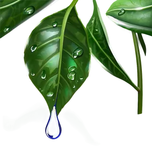 Raindrop On Leaf Png Eic PNG Image