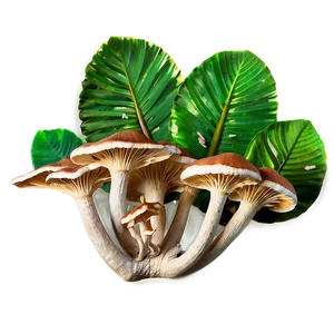 Rainforest Fungi Png 06132024 PNG Image