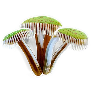 Rainforest Fungi Png Oiu71 PNG Image