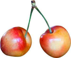 Rainier Cherries Black Background PNG Image