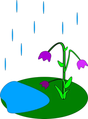 Rainy Night Flower Illustration PNG Image