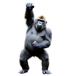 Rampaging Gorilla Illustration Png 06252024 PNG Image