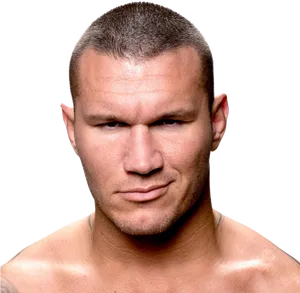 Randy Orton Portrait PNG Image