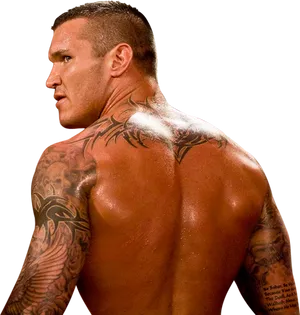 Randy Orton Tattooed Back PNG Image