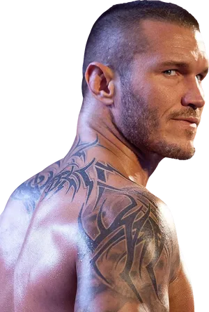 Randy Orton Tribal Tattoo Profile PNG Image