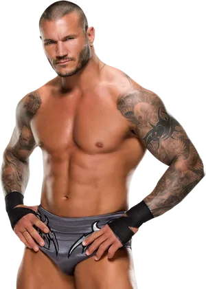 Randy Orton Wrestler Pose PNG Image