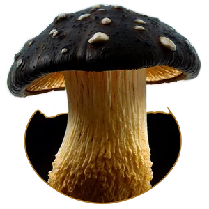 Rare Specimen Fungi Png Xjm PNG Image