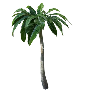 Rare Tropical Plant Png Jkg PNG Image