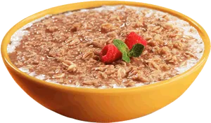 Raspberry Topped Oatmeal Bowl PNG Image