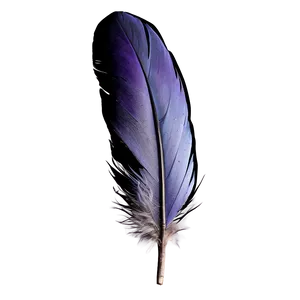 Raven Feather Close-up Png Jmj1 PNG Image