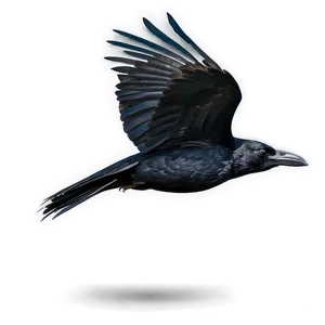 Raven In Flight Png 05062024 PNG Image