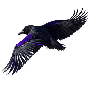 Raven Profile View Png Kww49 PNG Image