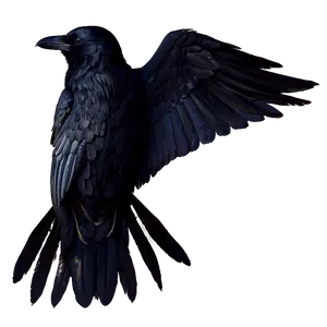 Raven With Open Wings Png Pqw PNG Image