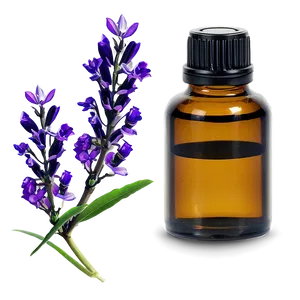 Ravensara Essential Oil Png Gjh20 PNG Image